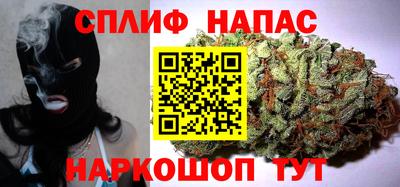 стафф Донской