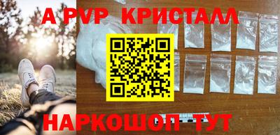 молекула духа Донецк