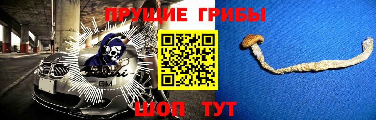Галлюциногенные грибы Psilocybe Нижнеудинск