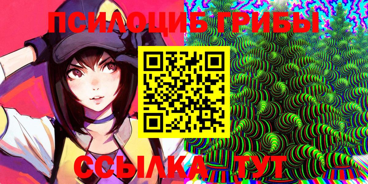 Галлюциногенные грибы Cubensis  хочу   Нижнеудинск  Вход с VPN 